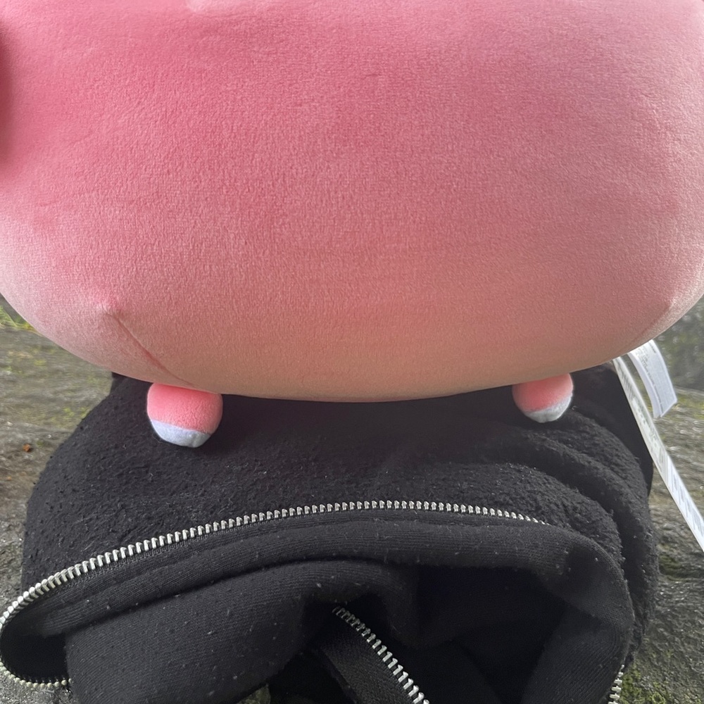 New Squishy Round Slowpoke Large Microbread Plush - Picture 8 of 15